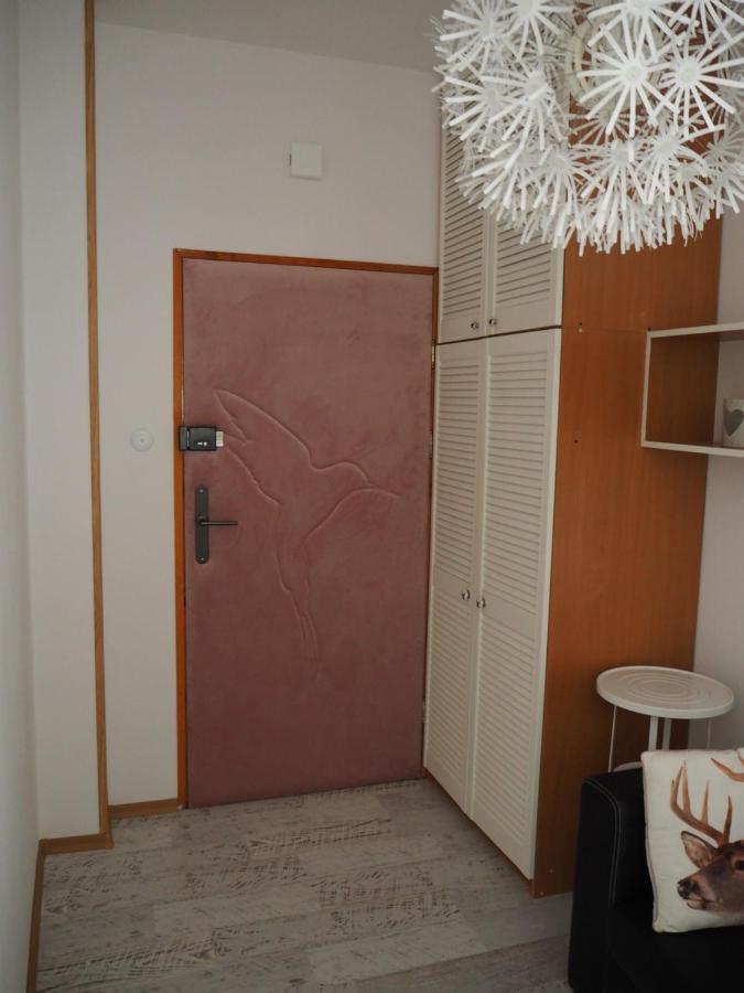Apartamenty Kocham Morze シフィノウイシチェ エクステリア 写真